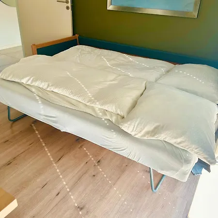 Spacious City Family Retreat With Garden & Patio Villa Odense