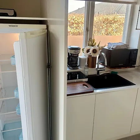 Spacious Family Retreat With Garden & Patio Odense